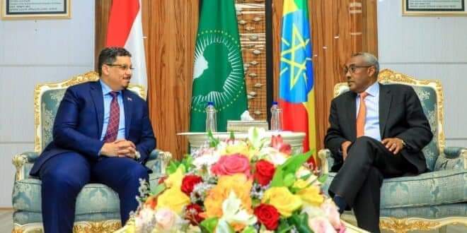 أديس ابابا .. الكشف عن استثمارات ل نجلي الرئيس اليمني ووزير الخارجية بنحو 250 مليون دولار ..