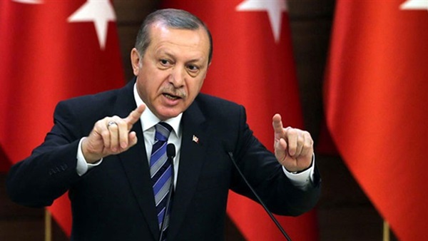 برلماني مصري أردوغان استغل ضعف سوريا وليبيا للاستيلاء على ثرواتهما